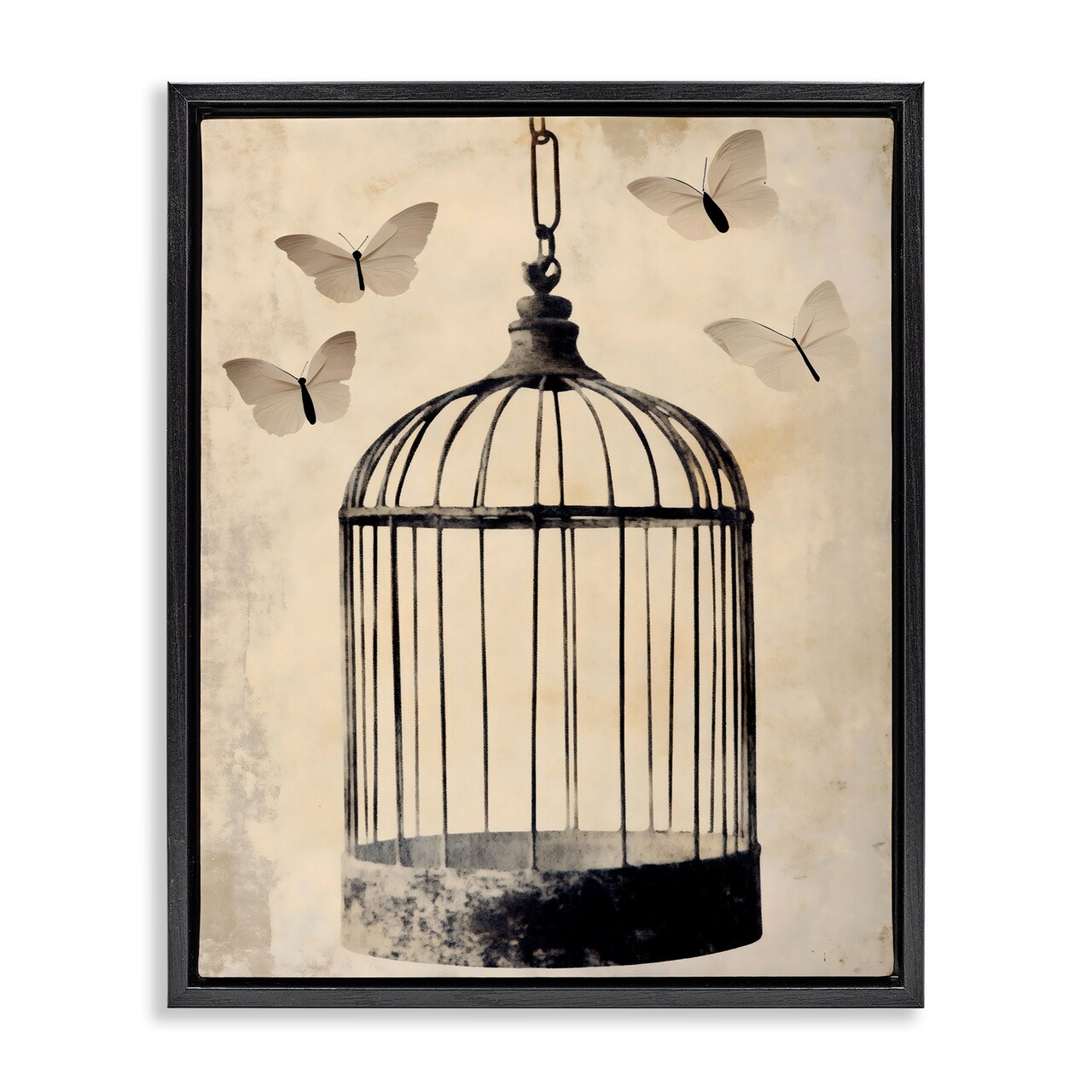 Stupell Industries Antique Uncaged Butterflies Floating Frame, design by Franklyn Gregory